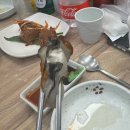 광주 굴찜 무한리필 찐맛집 진하수산 내돈내산 후기