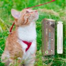 광명든든약국 | 구충제 복용법과 시기, 1년 안먹으니 면역력저하+미친식욕(알벤다졸 솔직 후기)