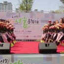 줌바지니어스