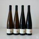 Pink Pong Pong 이미지