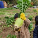 신정4동어린이집 이미지