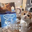 파티앤 캣 | 네츄럴코어 그레인프리 고양이 사료, 솔직 급여 후기