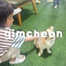 김천옛날솜씨마을 | 김천 애니멀필드 실내동물원 아이랑 가볼만한곳 내돈내산