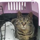 포곡로5번길 이미지