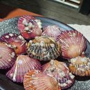 세림식당 이미지