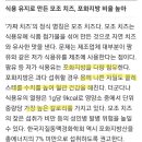 내가 먹던 치즈 알고 보니 ‘가짜’… ‘이 병’ 위험까지 높인다는데 이미지