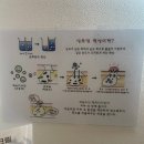 양산마사지 올가드림뷰티에서 두피관리 받은 후기