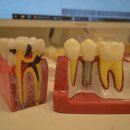 우리좋은치과의원 이미지