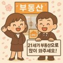 21세기2 공인중개사사무소 이미지