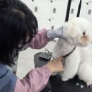 스무살의이야기학원