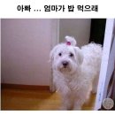 고전문학 이미지