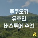 예산군 버스투어 | 여행한그릇 후쿠오카 버스투어 유후인 후기
