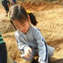 화곡농장 이미지