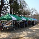 금성초등학교 이미지