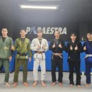 파라에스트라가경본관