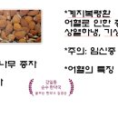 평안한약국 네이버블로그