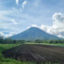송영목장 | 일본 홋카이도 여름 3박4일 니세코 골프 패키지 여행 1일차 니세코 빌리지 코스 9홀 후기