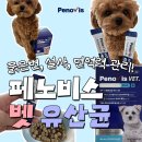 중부벳동물병원 | 페노비스 벳 유산균 강아지 퍼피 유산균 솔직 후기 동물병원·동물약국 입점 제품 (설사 묽은변 노견...