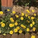 갈매와이시티 경로당 이미지