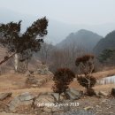 삼부자목장 이미지