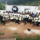 참포도나무병원 이미지