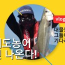 스타마린(주) 이미지