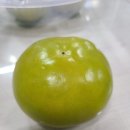 종합상회 이미지