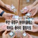 금정초등학교 | 금정초등학교 학부모동아리 MBTI향수만들기 원데이클래스 (부산/금정구/기장 출강 후기)