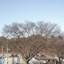 미당1리 마을회관 이미지