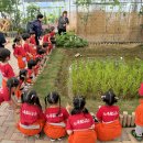 [프로젝트]🌾 벼는 어떻게 쌀이 될까요? 🌾 이미지