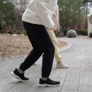 식품의약품안전평가원(1번저장소) | 양춘사추출물로 혈당다이어트 하는 살사라진 혈당컷 다이어트 양춘사
