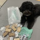 달곰펫 | 2025 부산펫쇼 다녀온 후기! 알차게 쇼핑하고 온 하루~