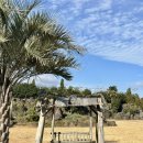 태수목장 | [제주도/카페] 수망다원 말차라떼 후기｜눈앞이 전부 녹차밭💚