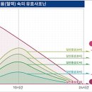 하나식품 이미지