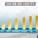 신호동체육관 이미지