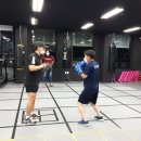 팀엑스 복싱 이미지