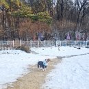 달의정원 이미지