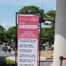 북문 상102호(비31호) | 청와대 관람 후기 다른 계절에도 다시 찾고 싶은