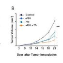 GIST, 면역세포 잠든 &#39;공격 본능&#39; 깨워 암세포 잡는다 이미지