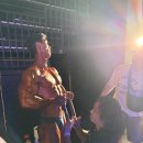 더 머슬짐 이미지