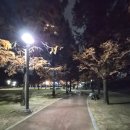 노작호수공원 | 노작호수공원 한바퀴는600m 총3km 러닝 후기｜가을 낙엽 밟으며 달린 동탄의 조용한 러닝 명소