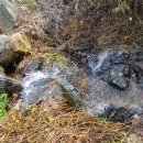 중원농장 이미지