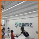 큰솔 태권도 이미지