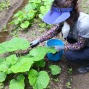 좌동경로당 이미지