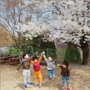 아트숲유치원 이미지