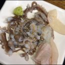 돌고래횟집 이미지