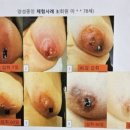 (주)호체 이미지