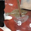 충무횟집 이미지