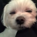 제일한방메디칼 이미지