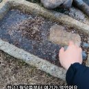 새온천탕 이미지